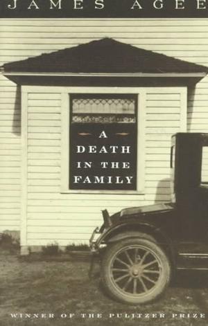 A Death in the Family epub download