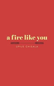 A Fire like You epub download