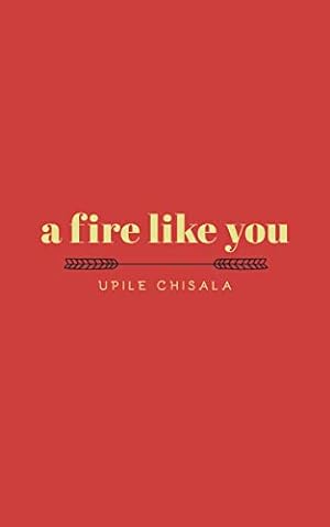 A Fire like You epub download
