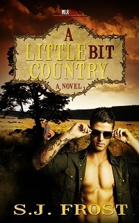 A Little Bit Country epub download