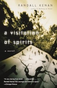 A Visitation of Spirits epub download
