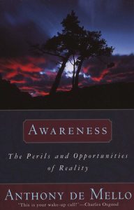 Awareness: The Perils and Opportunities of Reality epub download