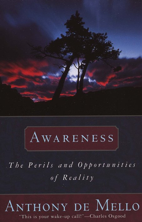Awareness: The Perils and Opportunities of Reality epub download