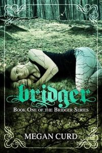 Bridger (Bridger