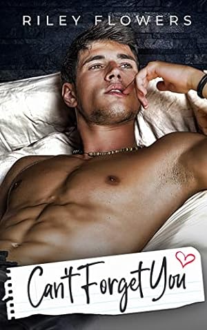 Can't Forget You epub download