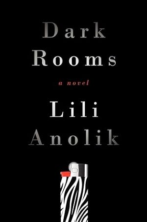 Dark Rooms epub download