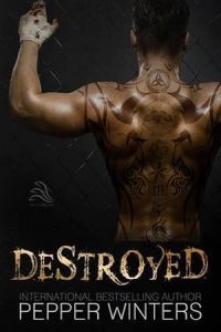 Destroyed epub download