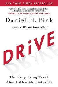 Drive: The Surprising Truth About What Motivates Us epub download