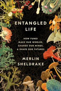 Entangled Life: How Fungi Make Our Worlds