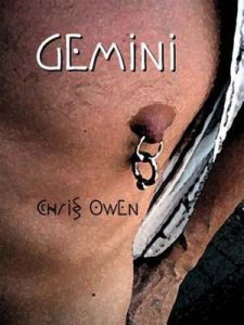 Gemini epub download