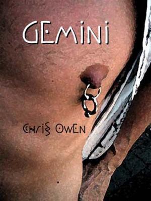 Gemini epub download