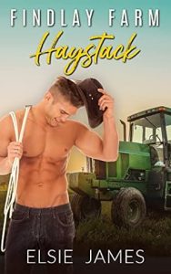 Haystack : Findlay Farms epub download