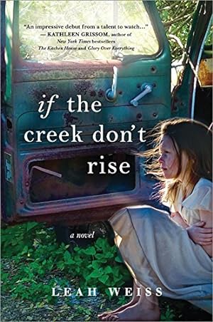 If the Creek Don't Rise epub download