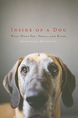 Inside of a Dog: What Dogs See