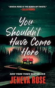 You Shouldn’t Have Come Here epub download