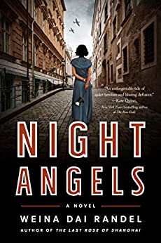Night Angels epub download