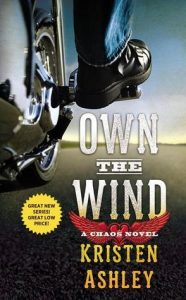 Own the Wind (Chaos
