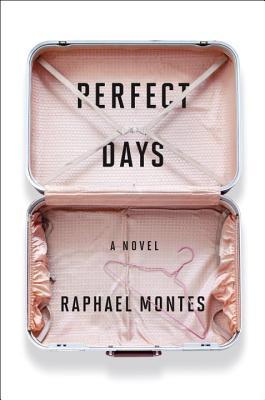 Perfect Days epub download