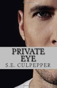 Private Eye (Liaisons #1) epub download