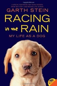 Racing in the Rain: My Life as a Dog epub download