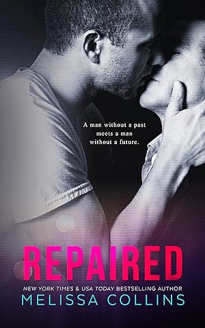 Repaired epub download
