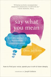 Say What You Mean: A Mindful Approach to Nonviolent Communication epub download
