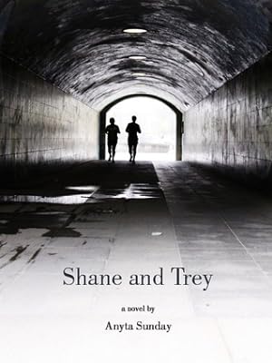 Shane and Trey (Enemies to Lovers