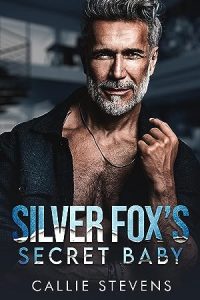 Silver Fox's Secret Baby (The Solace Sisters