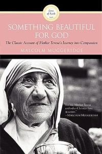 Something Beautiful for God epub download