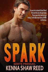SPARK: a slow burn