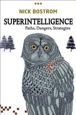 Superintelligence: Paths
