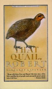 That Quail