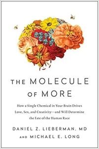 The Molecule of More: How a Single Chemical in Your Brain Drives Love