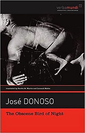 The Obscene Bird of Night epub download