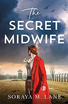The Secret Midwife epub download