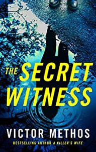 The Secret Witness (Shepard & Gray #1) epub download