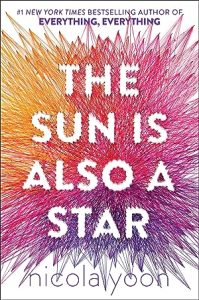 The Sun Is Also a Star epub download