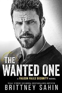 The Wanted One (Falcon Falls Security) epub download