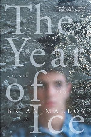 The Year of Ice epub download