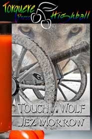 Touch of a Wolf epub download