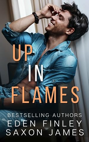 Up in Flames epub download
