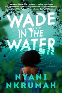 Wade in the Water epub download