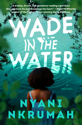 Wade in the Water epub download