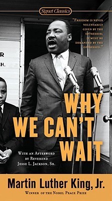 Why We Can't Wait epub download